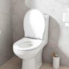 Как выбрать унитаз с микролифтом: практическое руководство без лишней воды